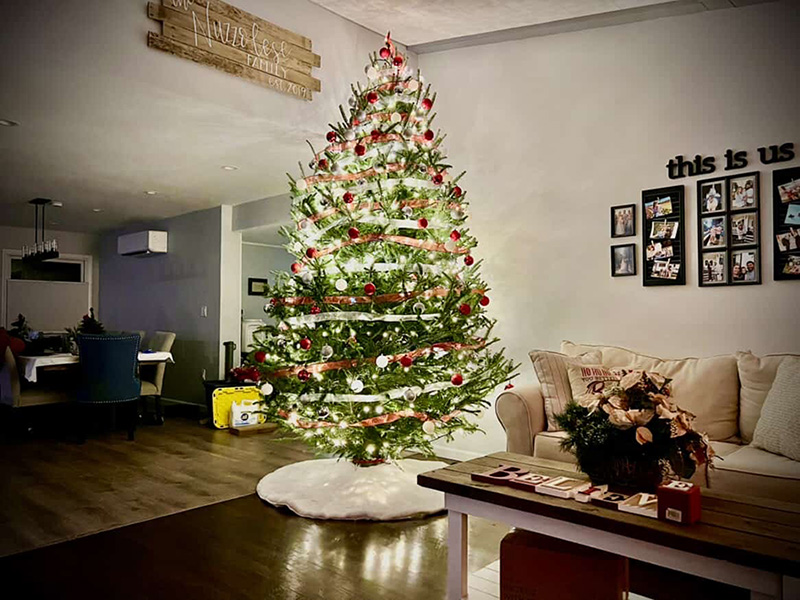 Christmas tree lot