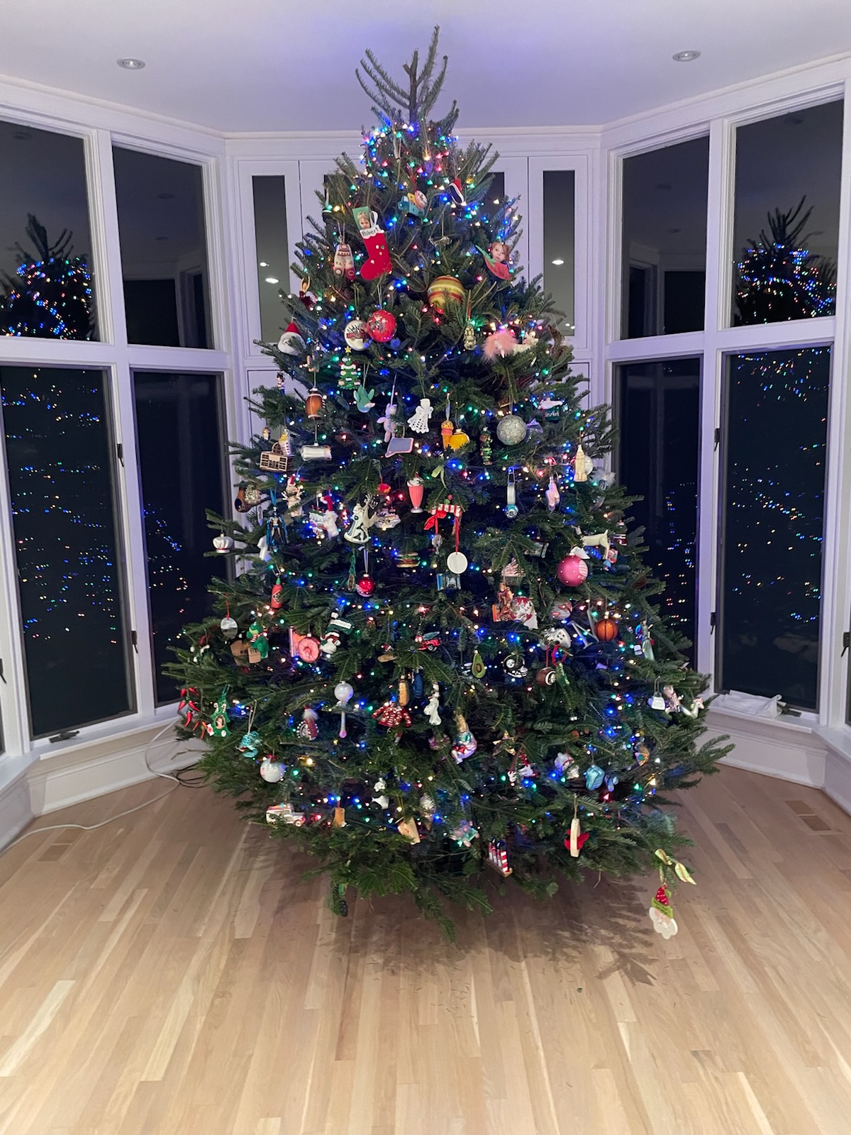 12ft. Balsam Fir