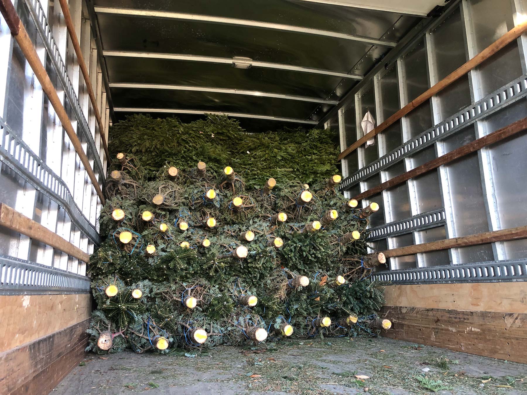 Truck Delivery
