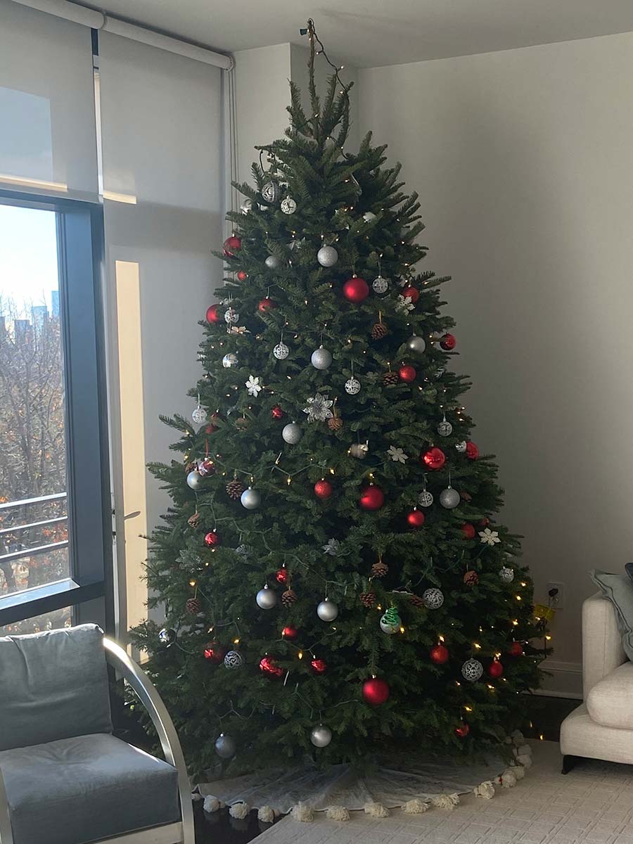 10ft. Noble Fir
