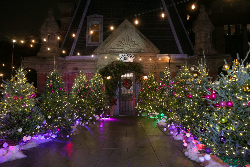 Fraser Fir