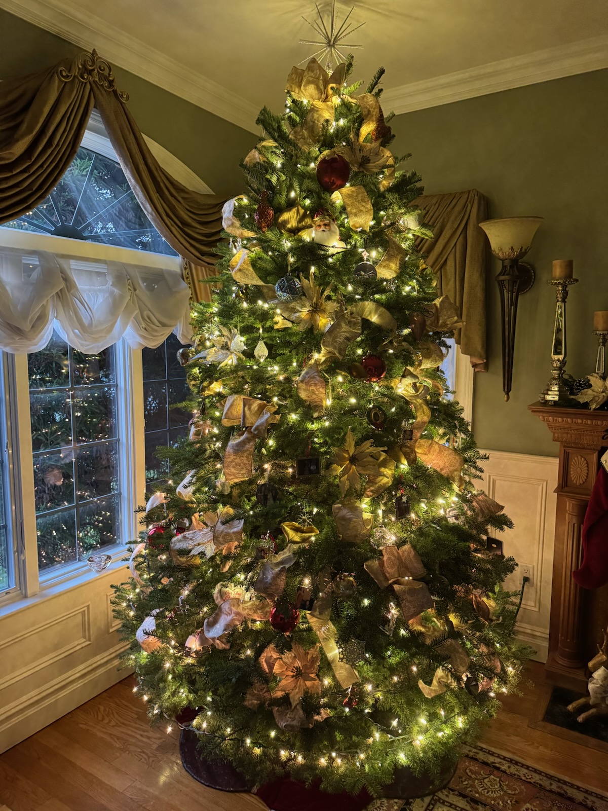 Noble Fir
