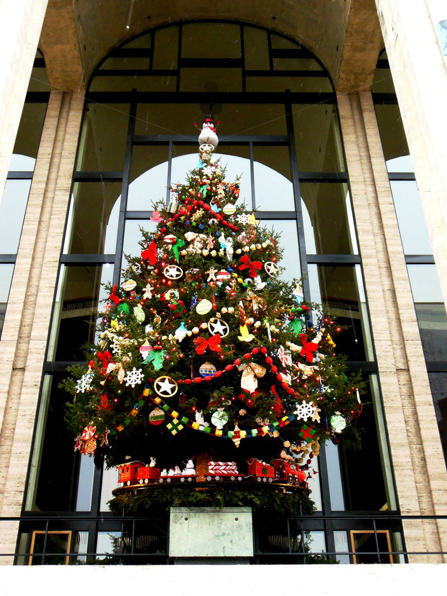 35 ft. Balsam Fir